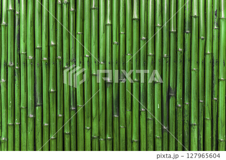 Green Bamboo Wall Background texture 127965604