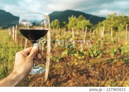 Hand Holding Red Wine Glass in Vineyard on a Summer Day Hand Holding Red Wine Glass in Vineyard on a Summer Day 127965621