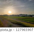逆光の昼下がりの太陽を背景にシロツメクサが咲く砂利道の向こうに広がる水田と住宅街のシルエット 127965907