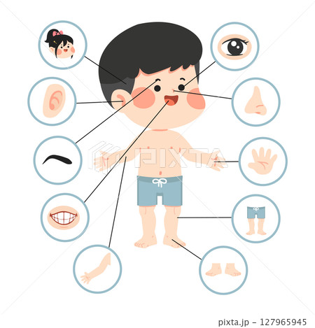 Cartoon Boy Body Parts Illustration 127965945