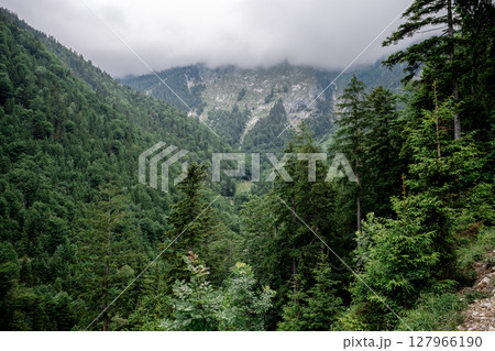 Scenic view of lush green valley and mountain village in the Austrian Alps under cloudy sky 127966190