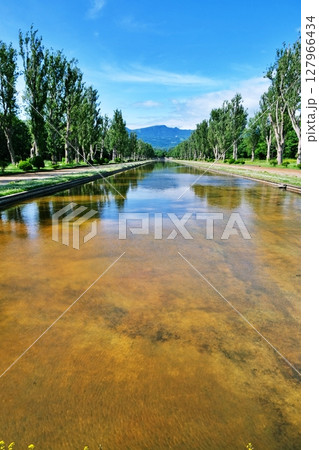 手稲山を望む前田森林公園の絶景 手稲山を望む前田森林公園の絶景 127966434