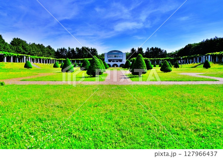 前田森林公園 展望ラウンジの風景 127966437