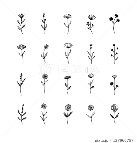 Circular Bloom Motif. Circular floral bloom with balanced petal symmetry and modern stylization, great for decorative or logo use. 127966787