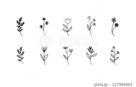 Tall Flower Silhouettes. Bold black silhouettes of tall wildflowers with expressive leaf shapes and layered heights. 127966802
