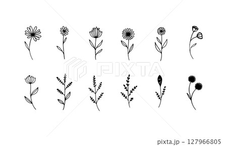 Stylized Flower Heads. Clean line illustrations of stylized flower heads and leaves arranged in a light, airy pattern. 127966805