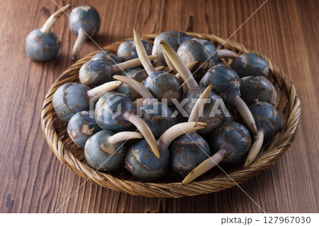 京野菜くわい 京野菜くわい 127967030