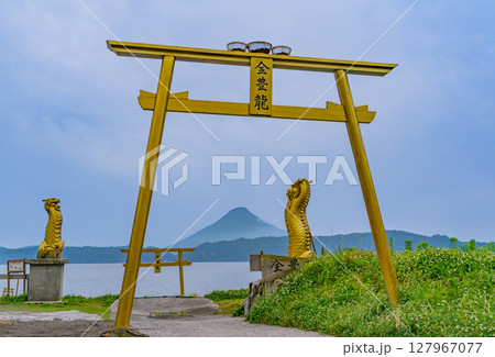 （鹿児島県指宿市）池田湖畔の黄金の鳥居と開聞岳 127967077