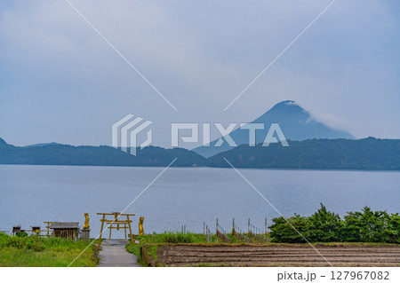 （鹿児島県指宿市）池田湖畔の黄金の鳥居と開聞岳 127967082