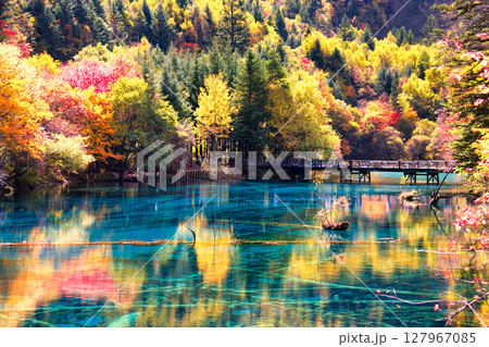 九寨溝の美しい秋の色どり 127967085