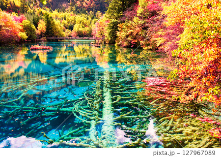 九寨溝の美しい秋の色どり 127967089
