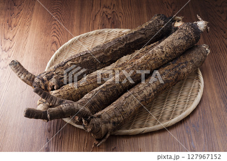京野菜堀川ごぼう 京野菜堀川ごぼう 127967152