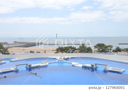 神戸須磨シーワールド 127968001