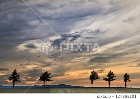 メルヘンの丘 メルヘンの丘 127968101