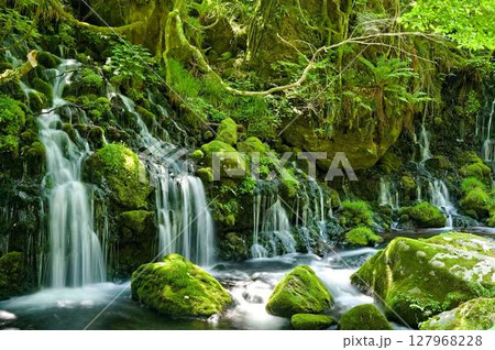 清々しい朝の元滝 清々しい朝の元滝 127968228