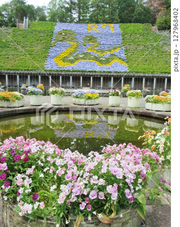 宇治市植物公園の花のタペストリー 宇治市植物公園の花のタペストリー 127968402
