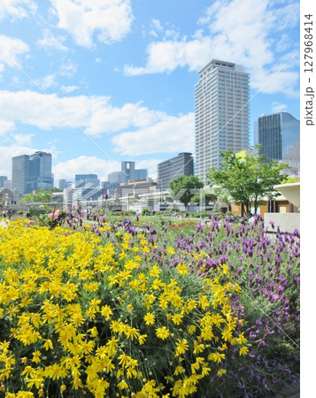 中之島公園 春の花 中之島公園 春の花 127968414