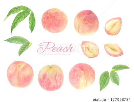 水彩で描いたリアルな桃のラスターイラストのセット 127968784