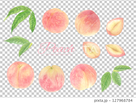 一組用水彩繪製的桃子逼真光柵插圖 127968784