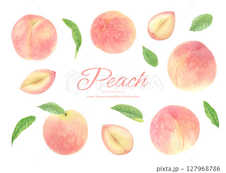 水彩で描いたリアルな桃のベクターイラストのセット 127968786