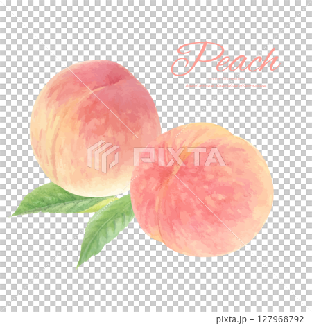 水彩畫的多汁桃子卡通畫 127968792