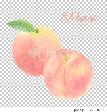 水彩畫的多汁桃子卡通畫 127968793