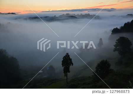 蒲生棚田雲海朝焼けの夜明け 127968873