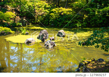 【京都風景】円山公園ひょうたん池　犬顔の石に心和む景色 127969237