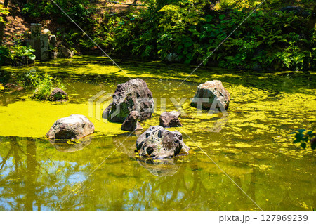【京都風景】円山公園ひょうたん池 犬顔の石に心和む景色 【京都風景】円山公園ひょうたん池 犬顔の石に心和む景色 127969239