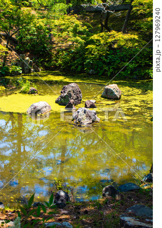 【京都風景】円山公園ひょうたん池 犬顔の石に心和む景色 【京都風景】円山公園ひょうたん池 犬顔の石に心和む景色 127969240