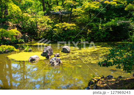【京都風景】円山公園ひょうたん池　犬顔の石に心和む景色 127969243