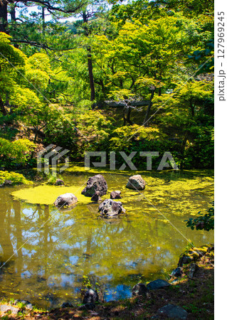 【京都風景】円山公園ひょうたん池　犬顔の石に心和む景色 127969245