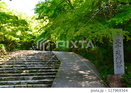 京都 大原 三千院門跡 京都 大原 三千院門跡 127969364
