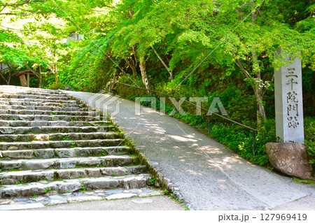 京都　大原　三千院門跡 127969419
