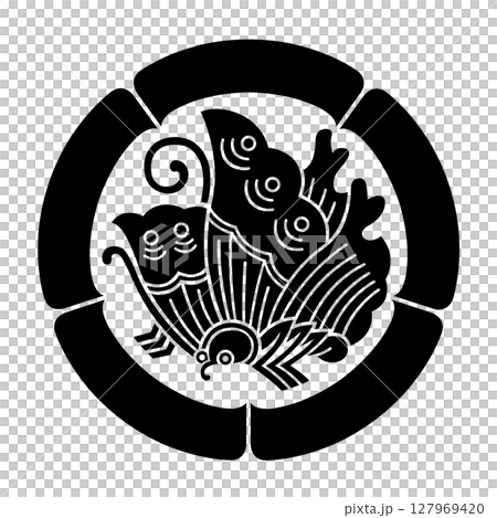 家庭冠黃瓜 127969420