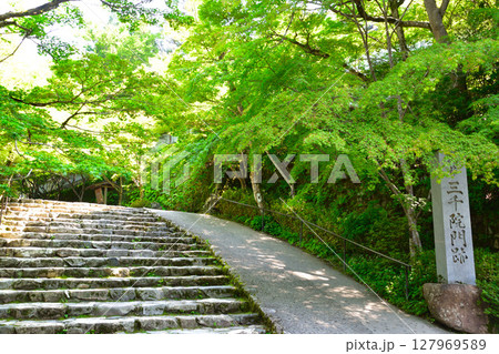 京都　大原　三千院門跡 127969589