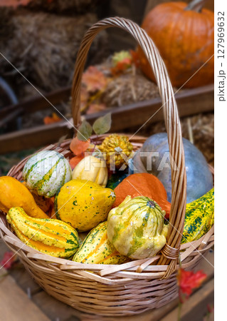 A woven basket filled with a variety of colorful gourds and pumpkins, showcasing the essence of autumn harvest 127969632