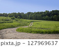Long country road in a summer green field. A forest is visible in the distance. Beautiful blue sky. Spring landscape 127969637