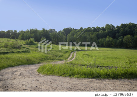 Long country road in a summer green field. A forest is visible in the distance. Beautiful blue sky. Spring landscape 127969637