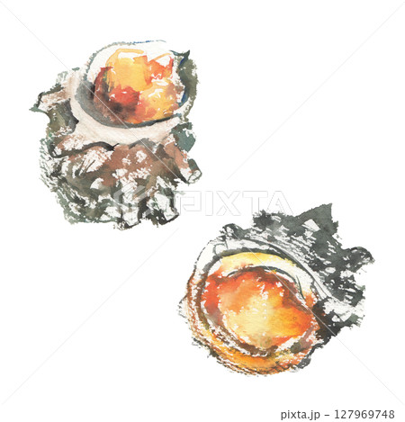 サザエのつぼ焼きの水彩イラスト  127969748