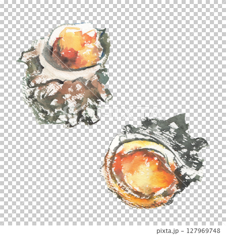 サザエのつぼ焼きの水彩イラスト  127969748