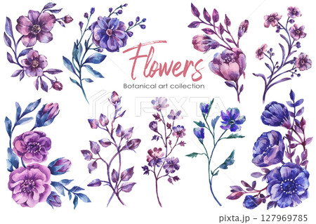 Watercolor flowers set hand painted floral elements isolated on white background 127969785
