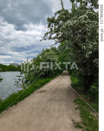 Dirt road leading to hostivar park in prague on cloudy day Dirt road leading to hostivar park in prague on cloudy day 127969888