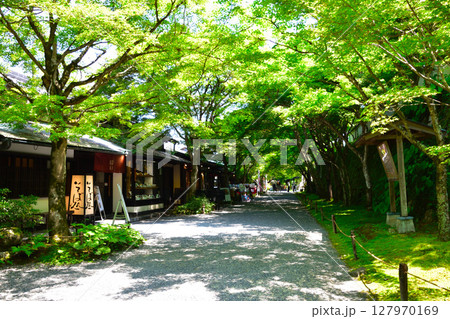 京都 大原 三千院門跡 門前 参道 京都 大原 三千院門跡 門前 参道 127970169