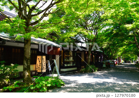 京都 大原 三千院門跡 門前 参道 京都 大原 三千院門跡 門前 参道 127970180