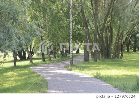 Summer on landscape park Yuzhnoye Butovo in Yuzhnoye Butovo district, Moscow, July 2022, Russia. 127970524