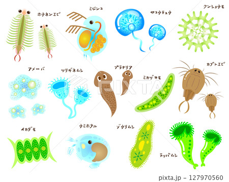 かわいい微生物とプランクトンのイラスト素材セット2 127970560