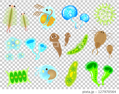 かわいい微生物とプランクトンのイラスト素材セット3 かわいい微生物とプランクトンのイラスト素材セット3 127970564