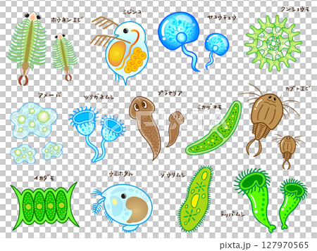 可愛的微生物和浮游生物插圖素材集4 127970565