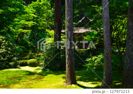京都 大原 三千院門跡 京都 大原 三千院門跡 127971215